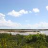 The Salt Ponds @ Anegada