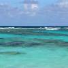Snorkling in the shark infested waters of Anegada...