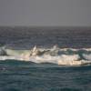 Arjen waveriding the outer reef @ Seascape Beach House Barbados