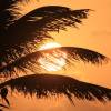 Tropical sunset @ Barbados