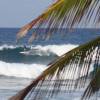 Surfers paradise @ Barbados