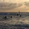 Surfkayaking, surfing & windsurfing @ the Point