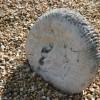 Big fossile found at Kimmeridge Bay