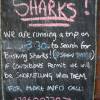 Sharks in Newquay!