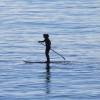 Adelimar paddling the new 2012 Fanatic Sup 8'10 Pro Wave in Tarifa