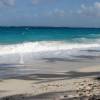 Shades of the coconutpalms in the sand @  Bottom Bay Barbados