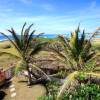 40_Seascape_Inch_Marlow_garden_ocean_view